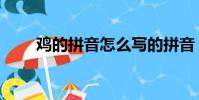 雞的拼音怎么寫的拼音(雞的拼音)