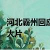 河北霸州回應大規模亂罰款藥、:9卄黃色三類大片