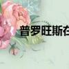 普羅旺斯在哪里啊（普羅旺斯在哪里）