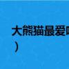 大熊貓最愛吃的竹子?（大熊貓最愛吃的竹子）