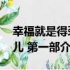 幸福就是得勁兒 第一部（關于幸福就是得勁兒 第一部介紹）