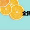 金陵是在池子里看書嗎？