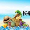長裙英文名（長裙英文）