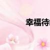 幸福待續（關于幸福待續介紹）
