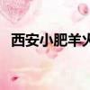 西安小肥羊火鍋店總店地址（西安小肥羊）