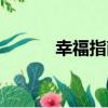 幸福指南（關于幸福指南介紹）