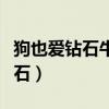 狗也愛鉆石牛一品開的車是什么車（狗也愛鉆石）