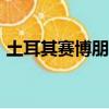 土耳其賽博朋克2077多少錢（2077多少錢）