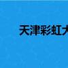 天津彩虹大橋在哪里（天津彩虹大橋）