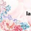 lancraft（lancraft）