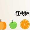 紅樹林雜志漫畫（紅樹林雜志）