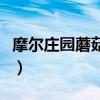 摩爾莊園蘑菇洞能干嘛（摩爾莊園蘑菇洞在哪）
