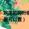 吹落的樹葉哪里可以看中文版（吹落的樹葉哪里可以看）