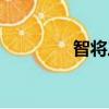 智將三國單機（智將三國）
