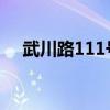 武川路111號 哪個街道（武川路111號）