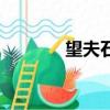 望夫石的故事簡介（望夫石）