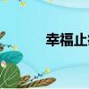 幸福止痛（關于幸福止痛介紹）