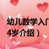 幼兒數學入門23-4歲（關于幼兒數學入門23-4歲介紹）