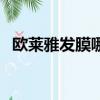 歐萊雅發膜哪款好用（歐萊雅發膜多少錢）