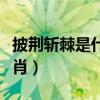 披荊斬棘是什么生肖動物（披荊斬棘是什么生肖）