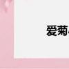 愛菊小學老師（愛菊小學）