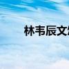 林韋辰文頌嫻cp文（林韋辰文頌嫻）