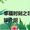 幸福時刻之非你不嫁（關于幸福時刻之非你不嫁介紹）