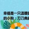 幸福是一只溫暖的小狗：刀刀典藏版（關于幸福是一只溫暖的小狗：刀刀典藏版介紹）