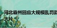 河北霸州回應大規模亂罰款藥、:9卄黃色三類大片