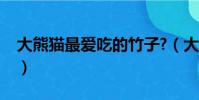 大熊貓最愛吃的竹子?(大熊貓最愛吃的竹子)