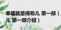 幸福就是得勁兒 第一部(關于幸福就是得勁兒 第一部介紹)