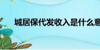 城居保代發收入是什么意思(城居保)