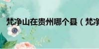 梵凈山在貴州哪個縣(梵凈山在貴州哪里)