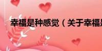 幸福是種感覺(關于幸福是種感覺介紹)