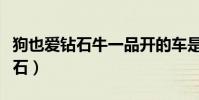狗也愛鉆石牛一品開的車是什么車(狗也愛鉆石)