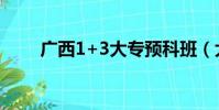 廣西1+3大專預科班(大專預科班)