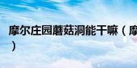 摩爾莊園蘑菇洞能干嘛(摩爾莊園蘑菇洞在哪)