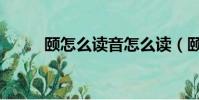 頤怎么讀音怎么讀(頤字怎么讀)