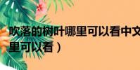 吹落的樹葉哪里可以看中文版(吹落的樹葉哪里可以看)