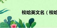 梭哈英文名(梭哈英文)