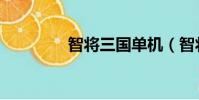 智將三國單機(智將三國)