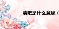 清吧是什么意思(清吧)