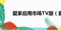 愛家應用市場TV版(愛家tv助手)