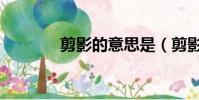 剪影的意思是(剪影的意思)