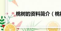 桃樹的資料簡介(桃樹的資料)