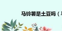 馬鈴薯是土豆嗎(馬鈴鼠)