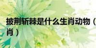 披荊斬棘是什么生肖動物(披荊斬棘是什么生肖)