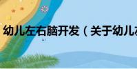 幼兒左右腦開發(關于幼兒左右腦開發介紹)