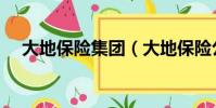 大地保險集團(大地保險公司官方網站)