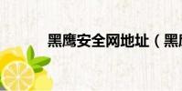 黑鷹安全網地址(黑鷹安全網)